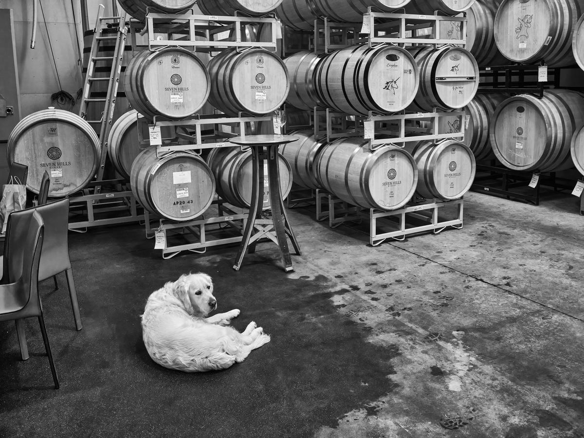 Walla Walla-gfrf1774-20251007-1496-topaz.jpg