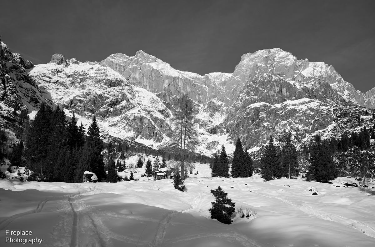 DSC_1930 smaller.JPG