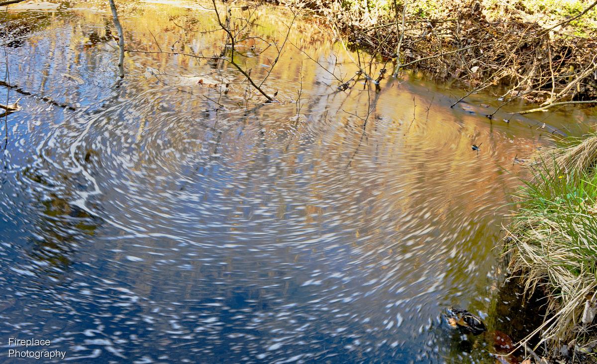 DSC_2723 smaller.JPG