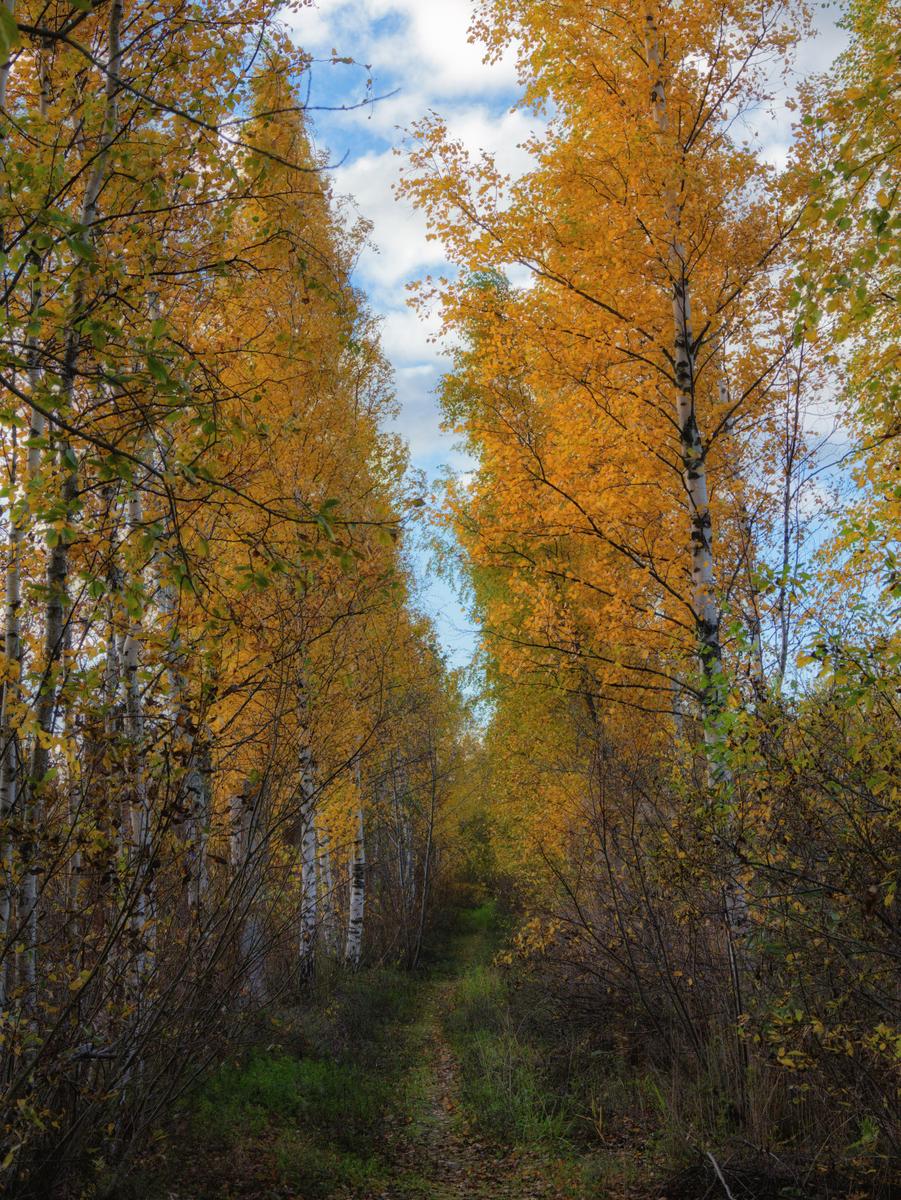 PA117326_Nik_DxO.jpg