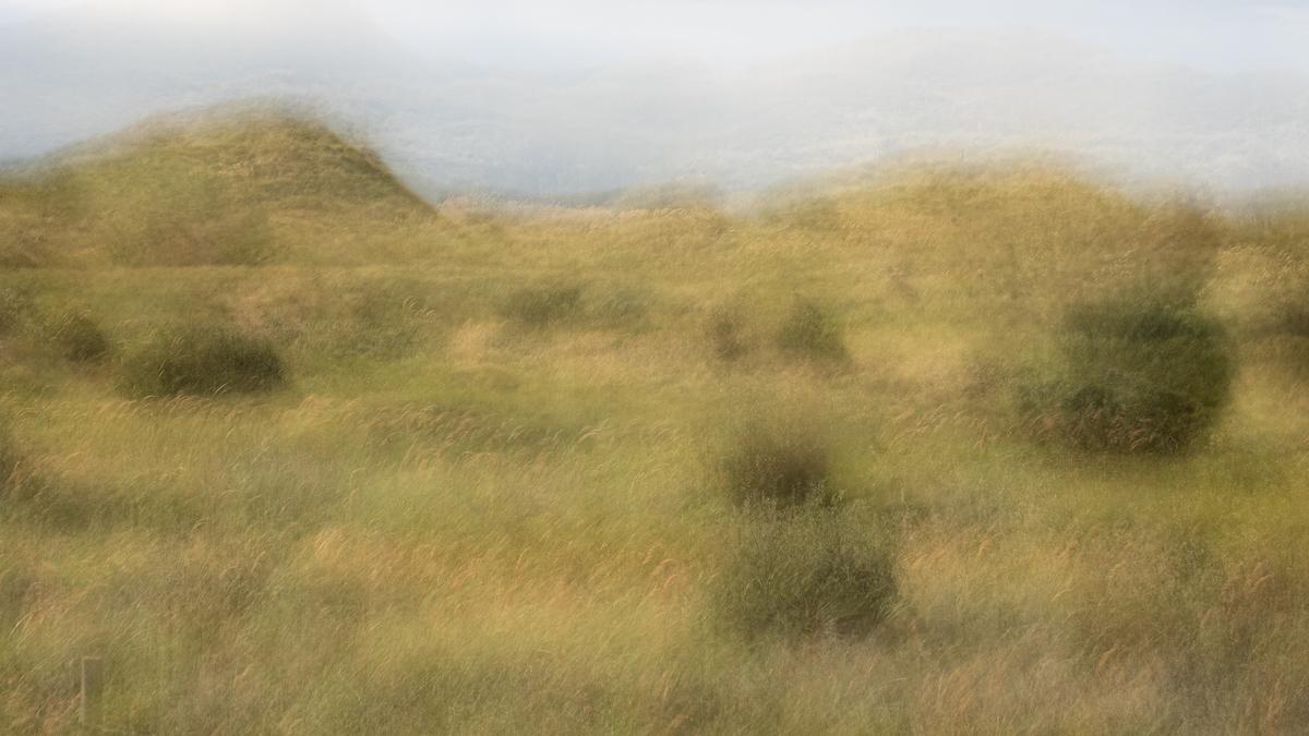 P9095541.jpg