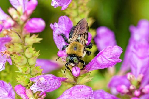 20161008-DSC_8080_DxO.jpg