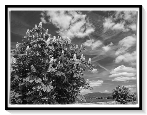 batch__5210013-Cloudscape-AllCannings-Wiltshire-BW.jpg