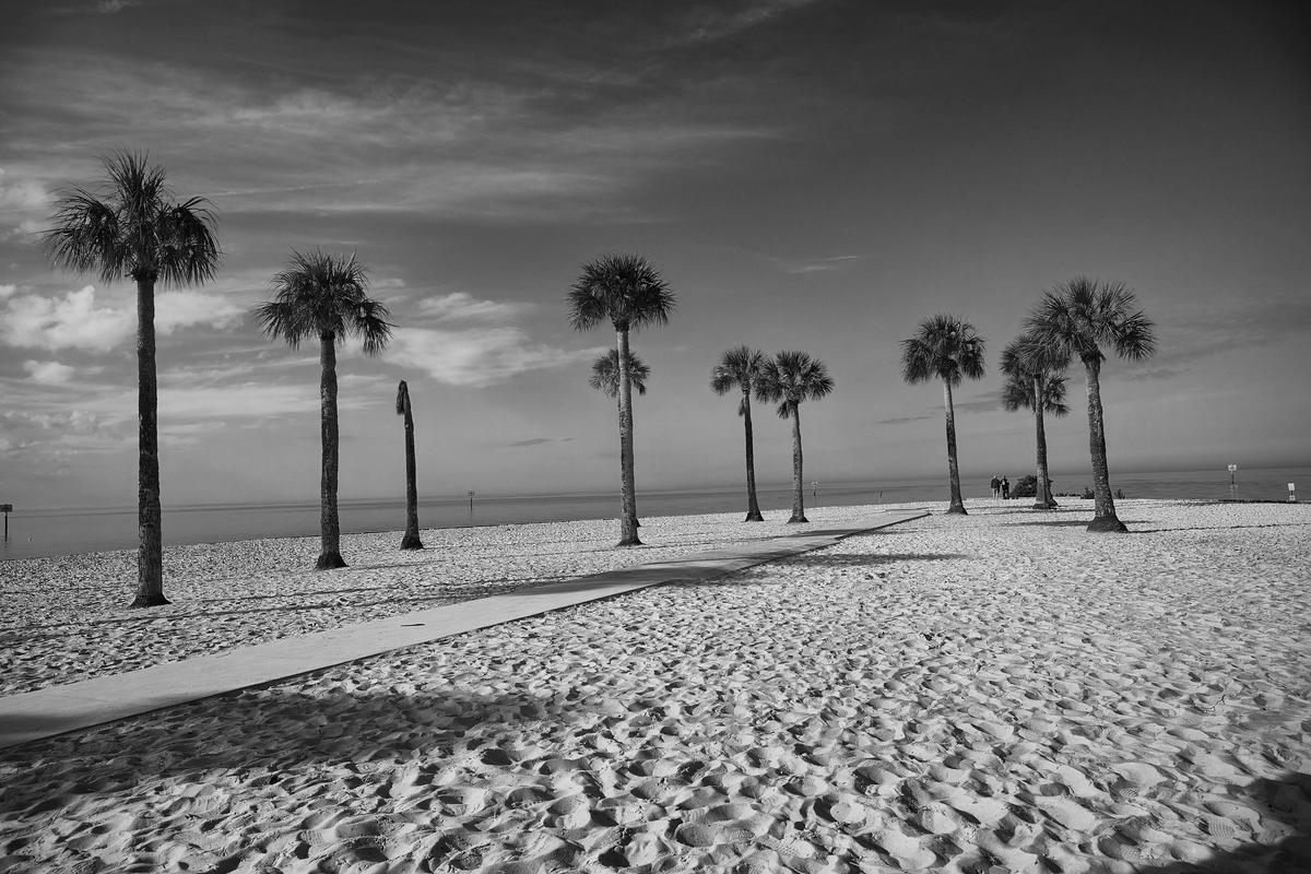 Pine Island-dsc_0017-20251213-1501.jpg