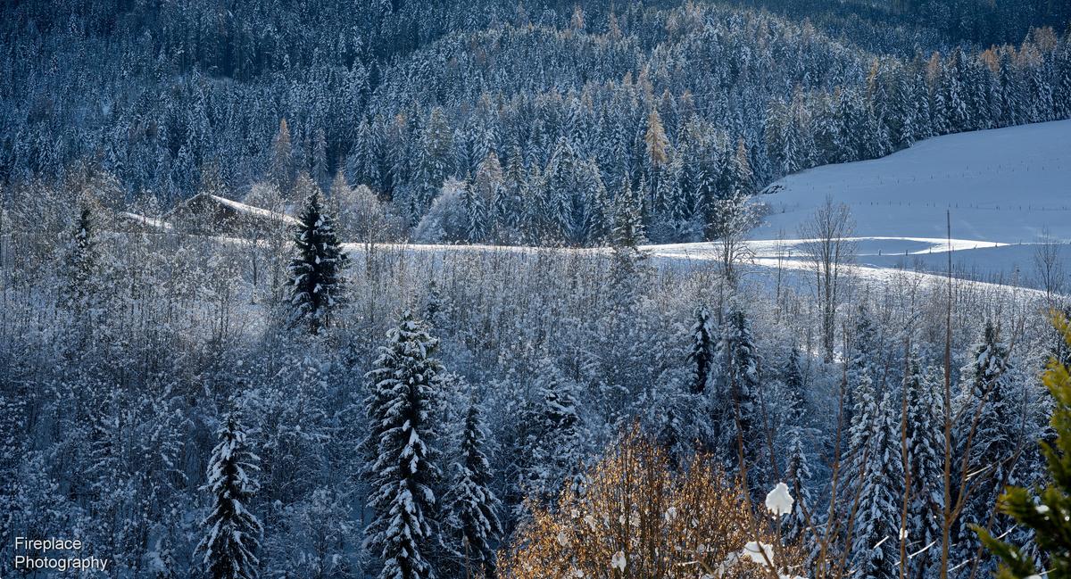 DSC_1925 smaller.JPG