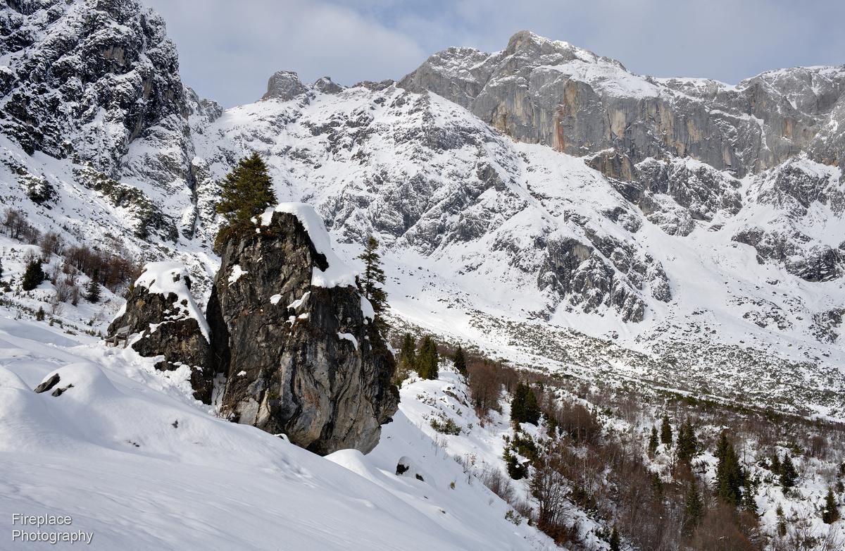 DSC_2464 smaller.JPG