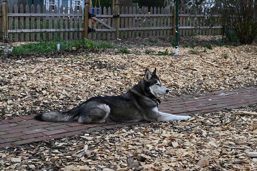 DSC_1275.JPG