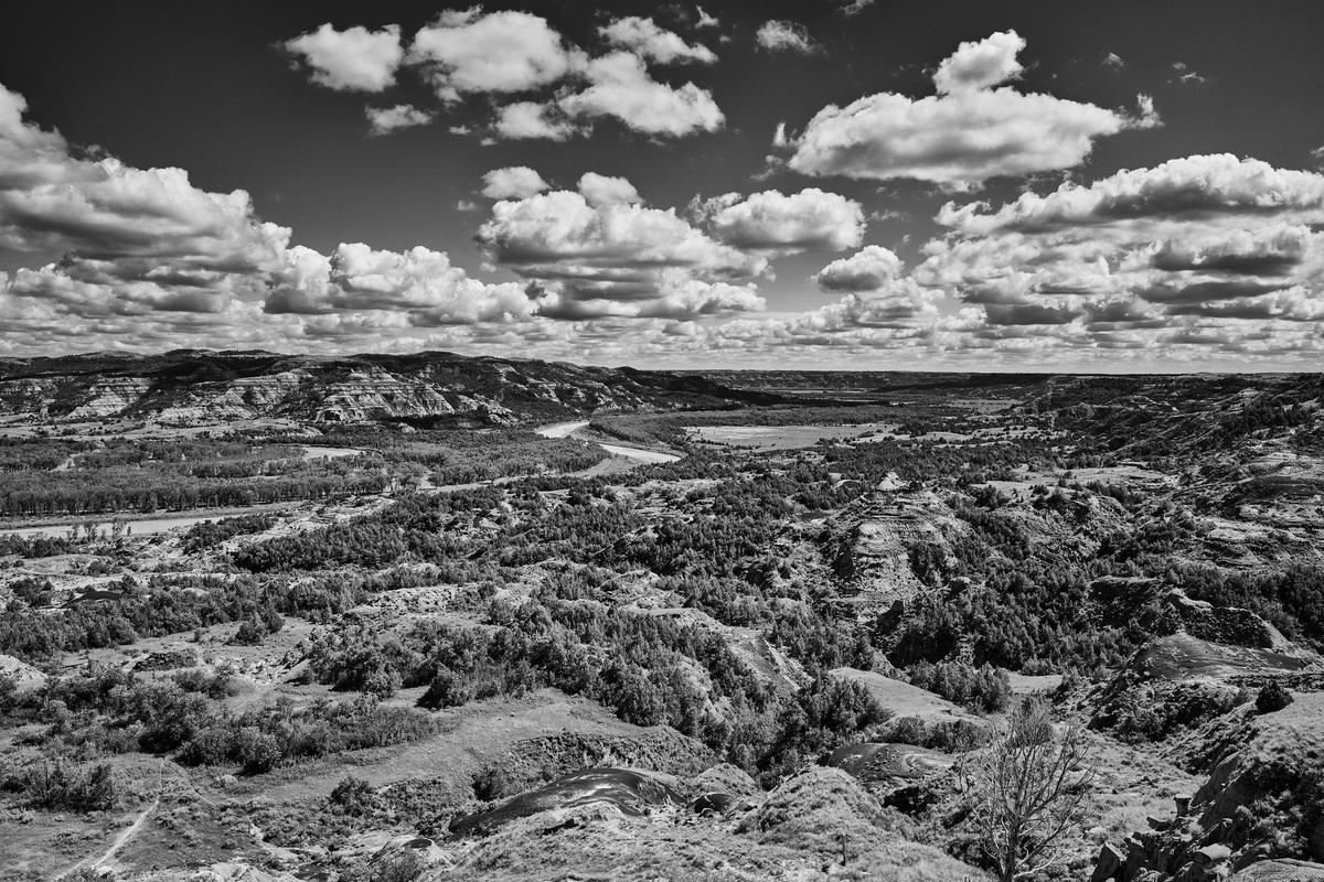 TRNP-North-GFRF0848-20250728-104416-topaz.jpg