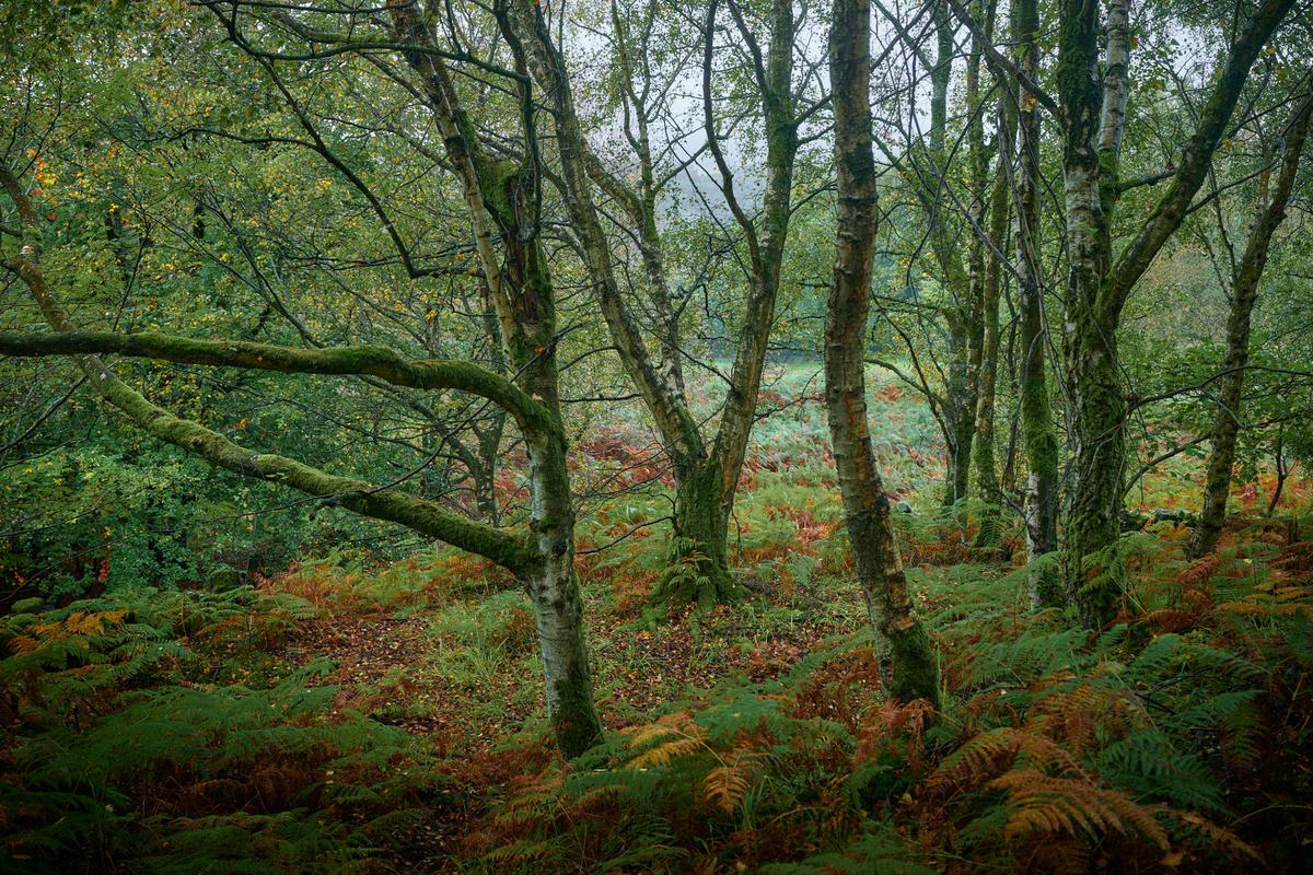 DSC_8462.jpg