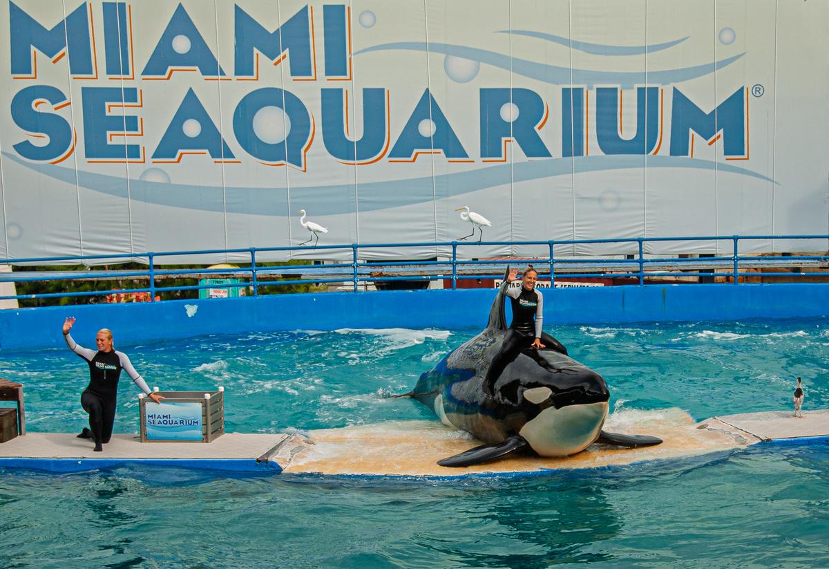 Miami Seaquarium 060916-51.jpg