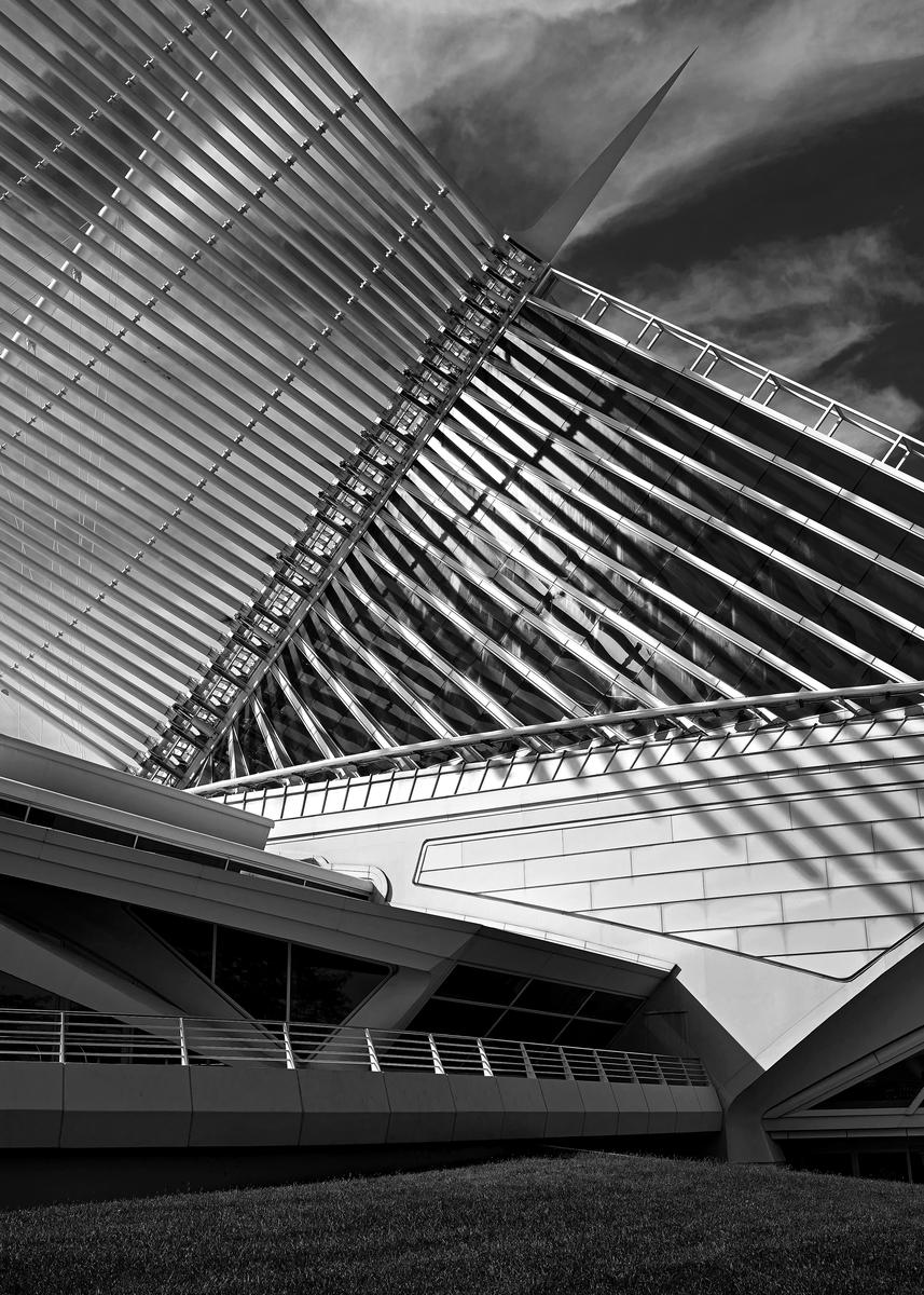 mam-01-BW.jpg