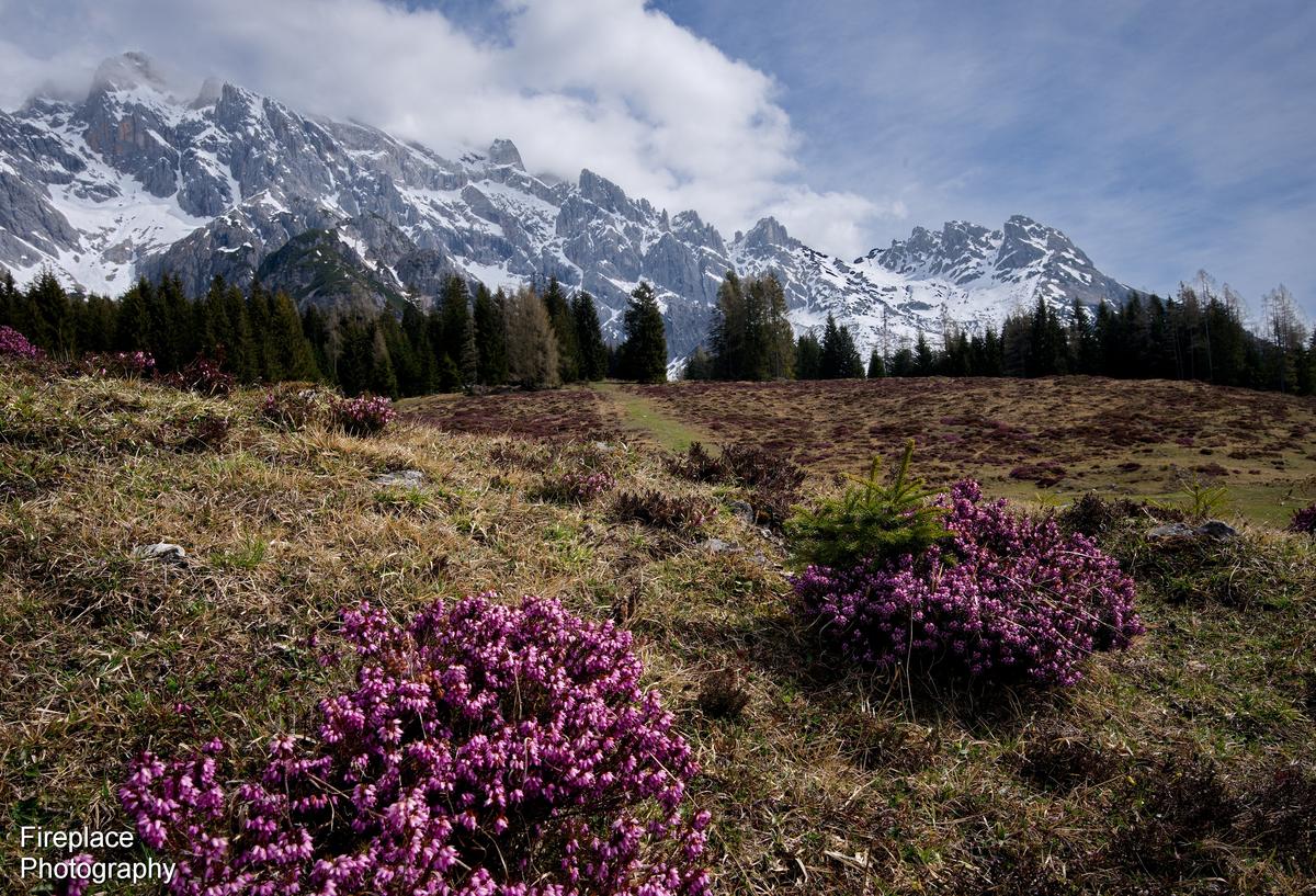 DSC_5064 smaller.JPG