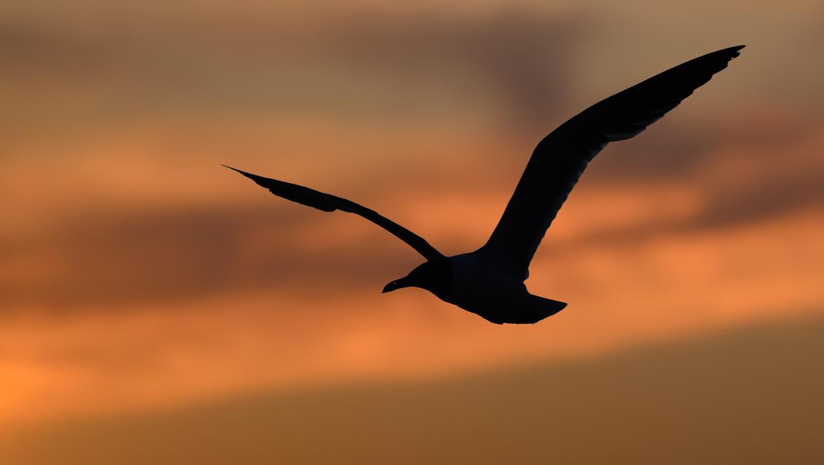 Vacation 2026 HH-112-Edit-2.jpg