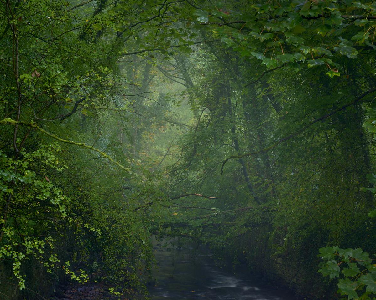DSC_7523 1.jpg