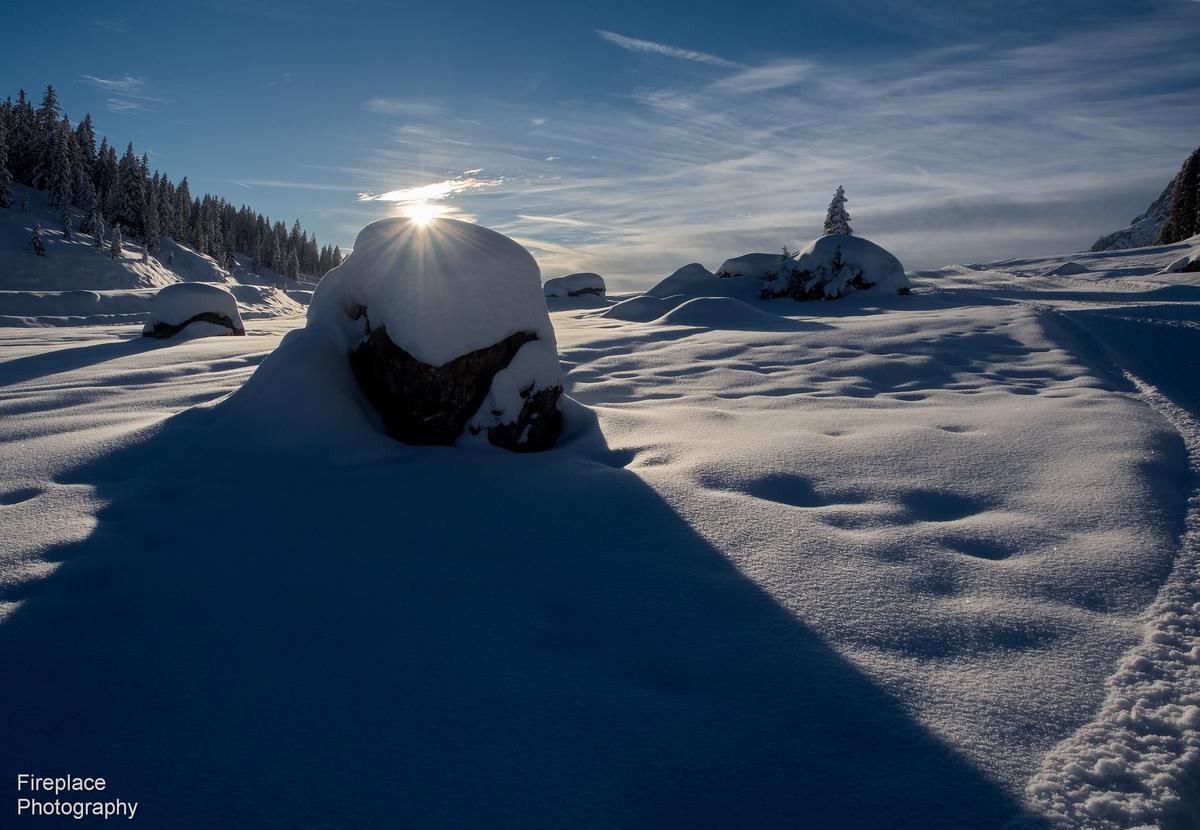 P1070311 smaller.JPG