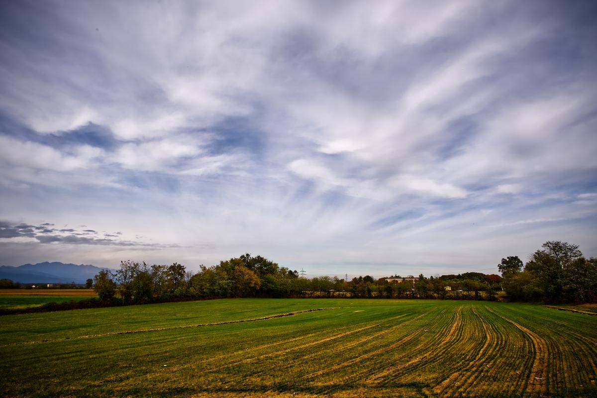 2025-10-25 16.060-1_(Supersize).jpg