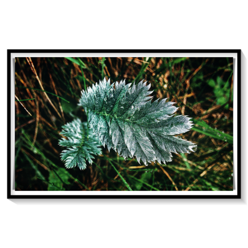 batch_DSCN1537-Silverleaf-Ranges-Everleigh-Wiltshire-512.png