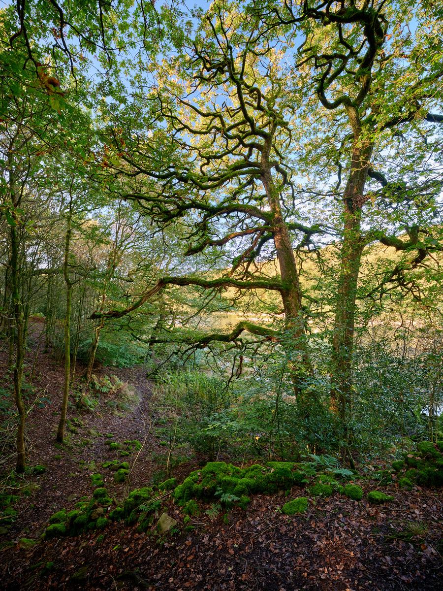DSCF4610.jpg