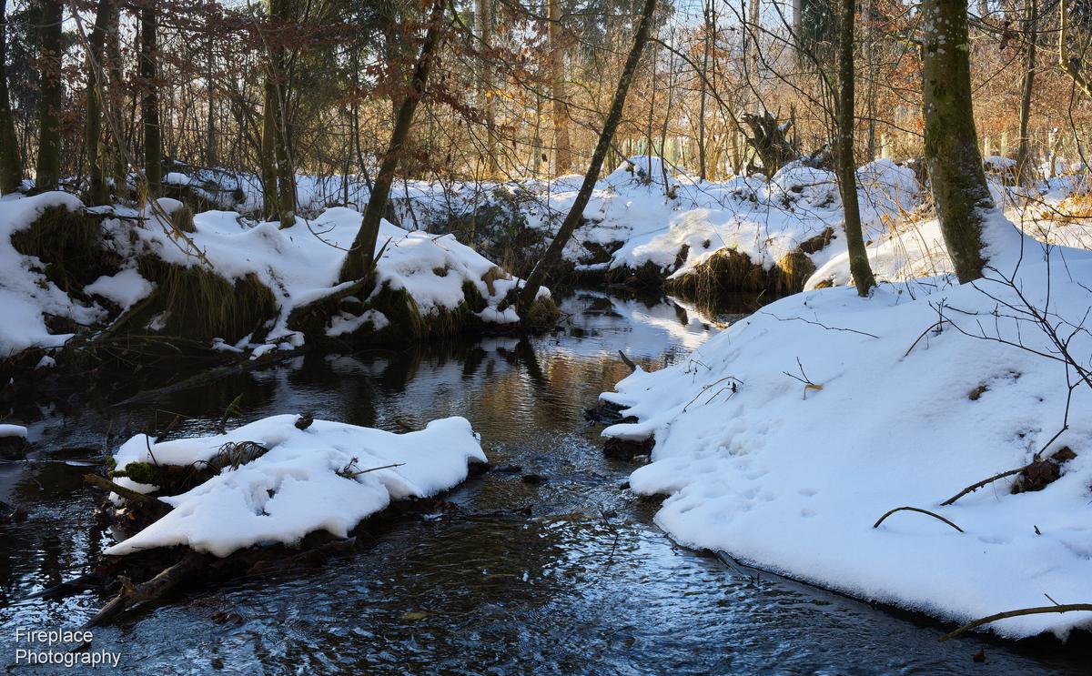 DSC_2478 smaller.JPG