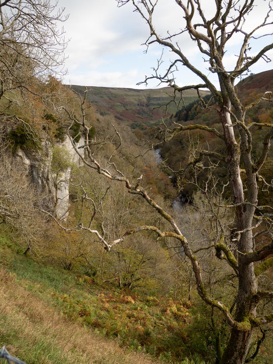 PA225695.jpg