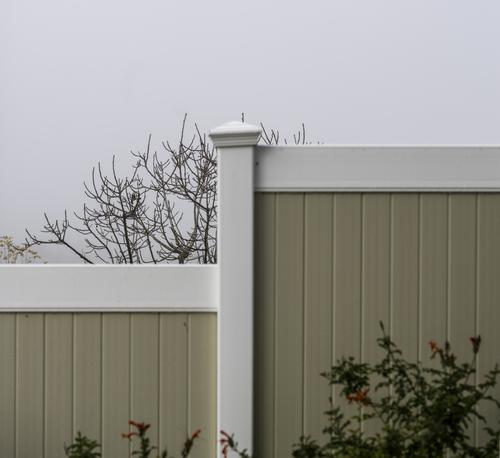 Tree and Fence in Fog.jpg