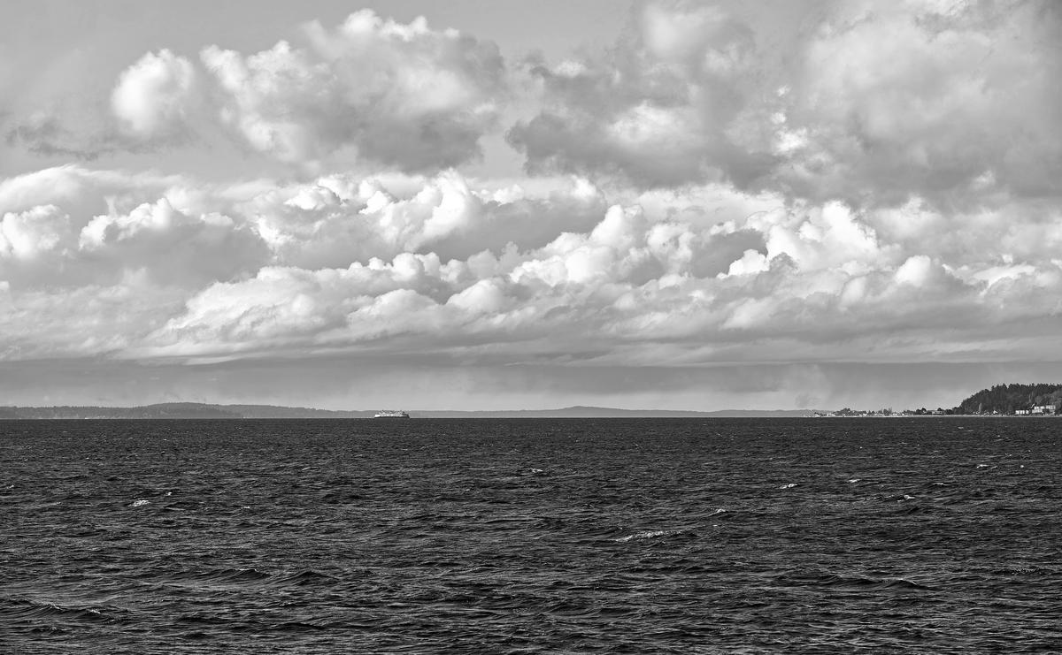 3774-back-yard-view-ferry-clouds-BW2.jpg