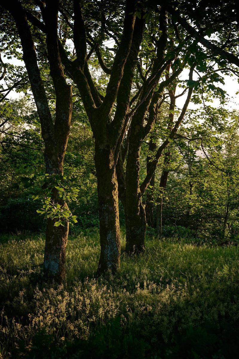 DSC_5705.jpg