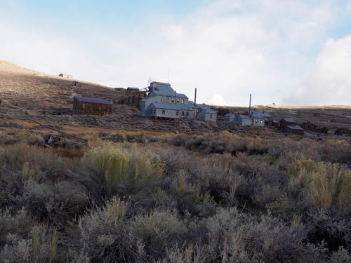 bodie.jpg