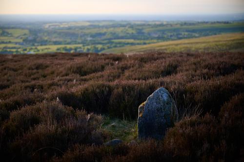 DSC_3155.jpg