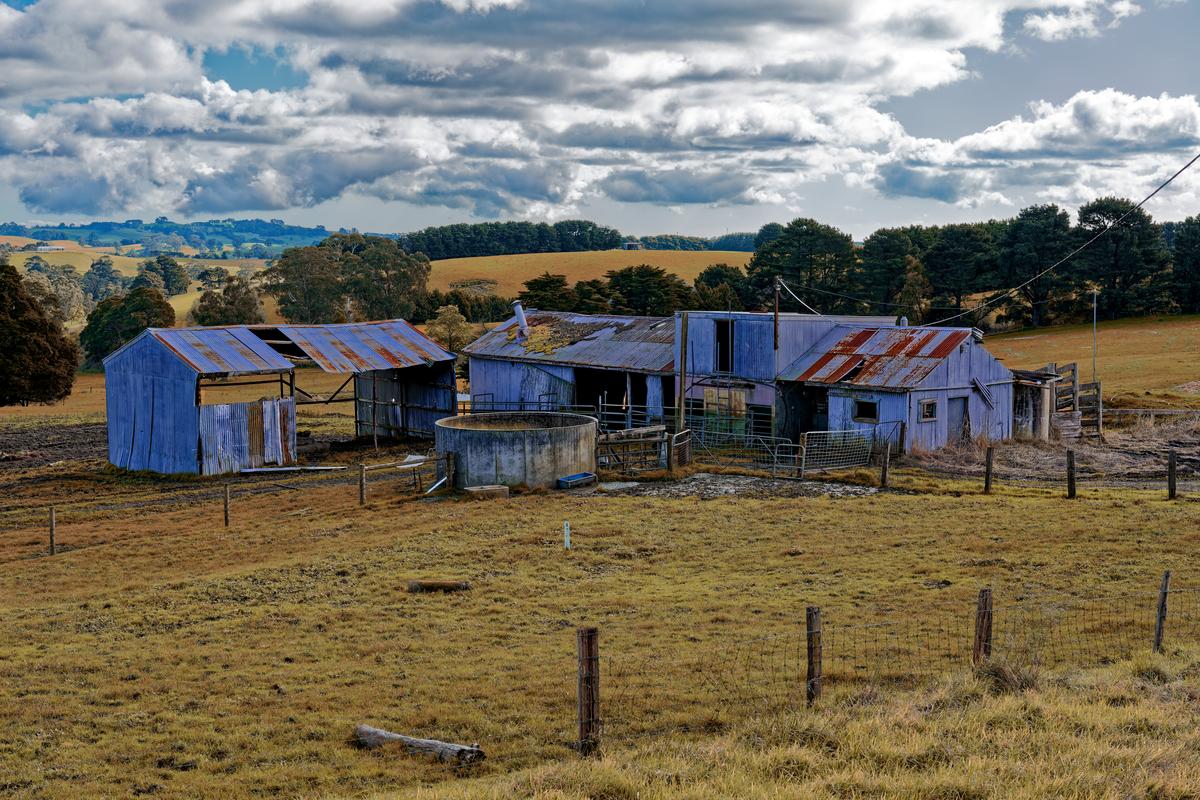 230808  A7RIVa  Bena Shed Walkerville pola  DSC02151_DxO_DxO-2.jpg