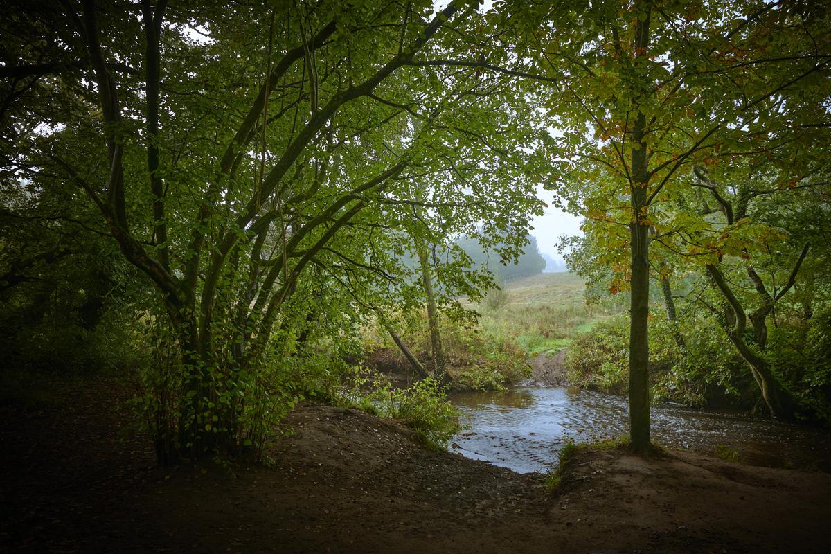 DSC_7589.jpg