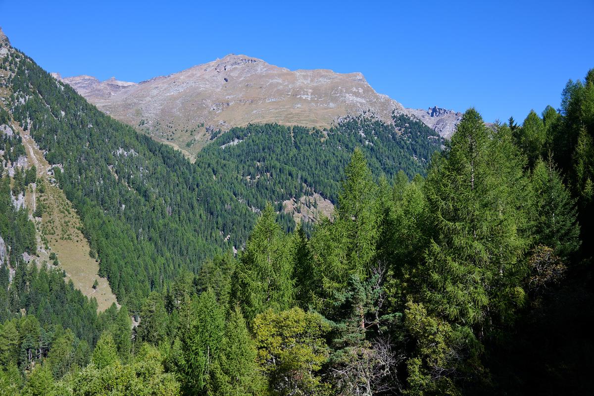 8DS_0665.jpg