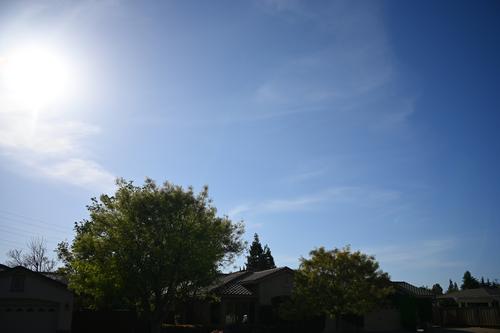 DSC_3536sm.jpg