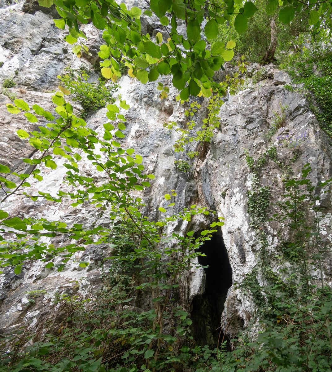 P7095150-Pano.jpg