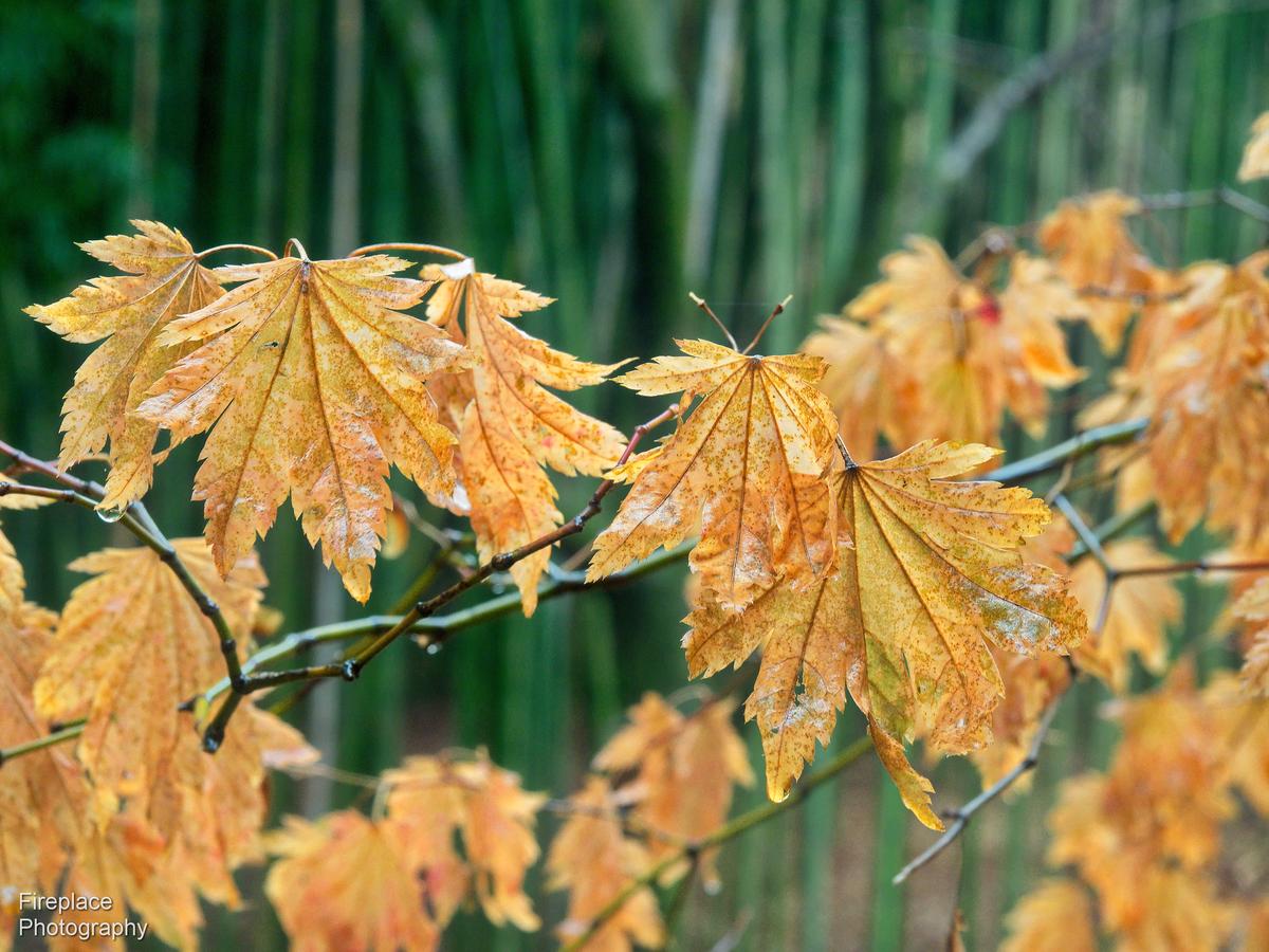 PC301601 smaller.JPG