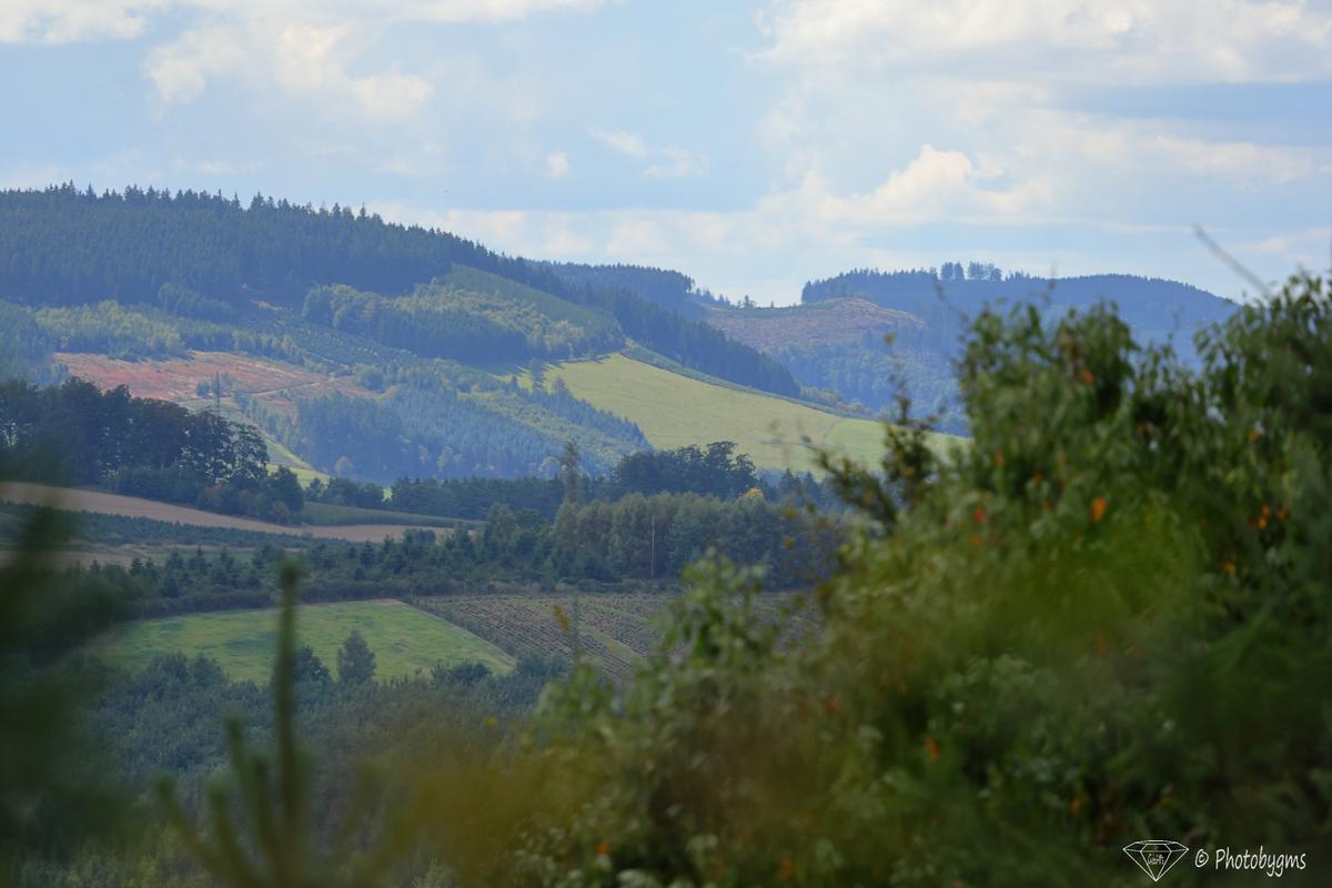 62A_5405.jpg