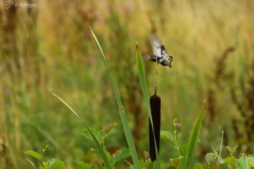 5D4_0023.jpg