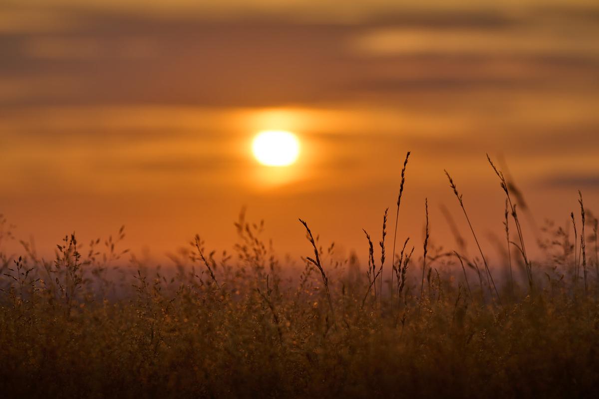 DSC_7413.jpg