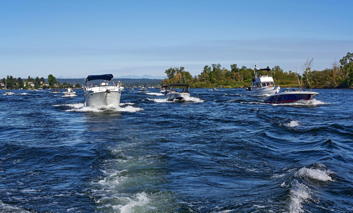 cut-looking-east-small.jpg