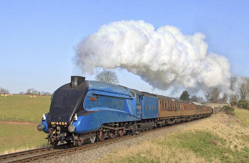 1 Blue vehicle - Garter Blue LNER A 4 locomotive.jpg