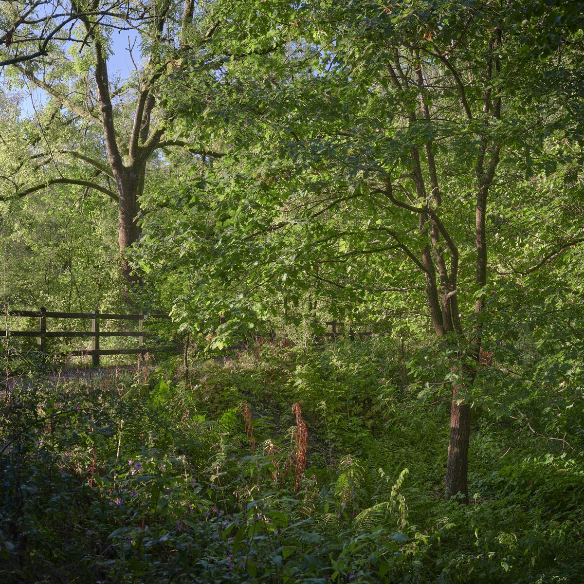 DSCF3440.jpg