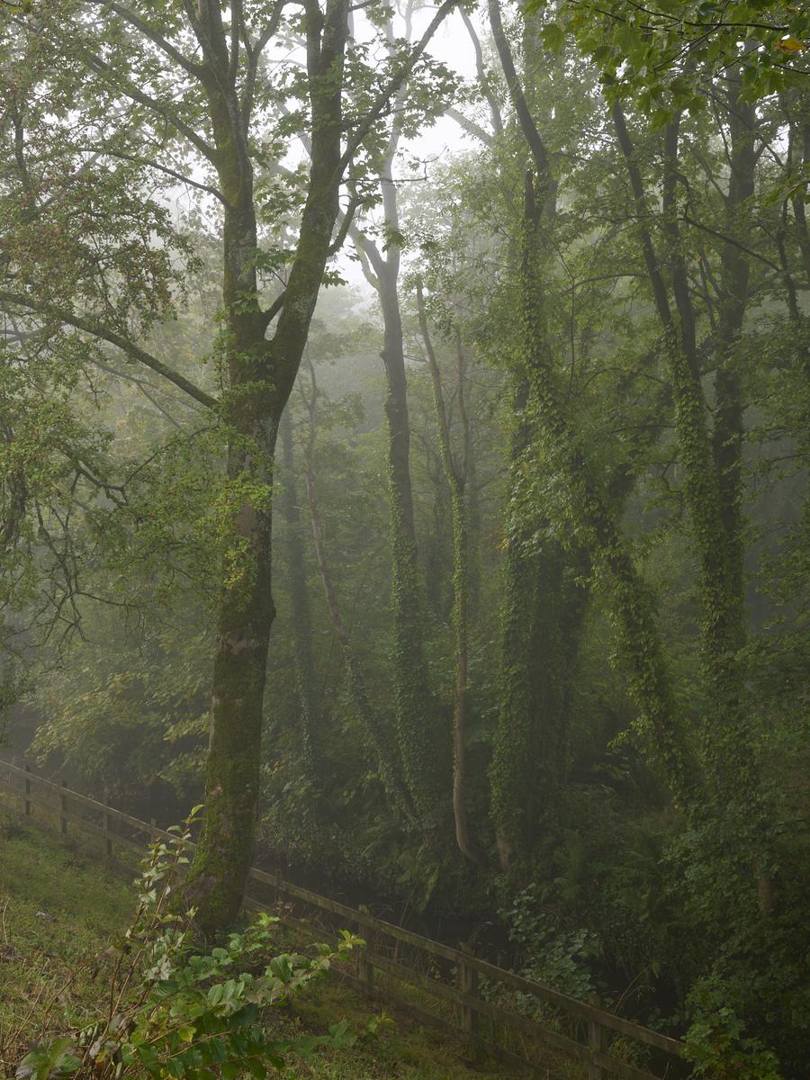 DSC_7532 2.jpg