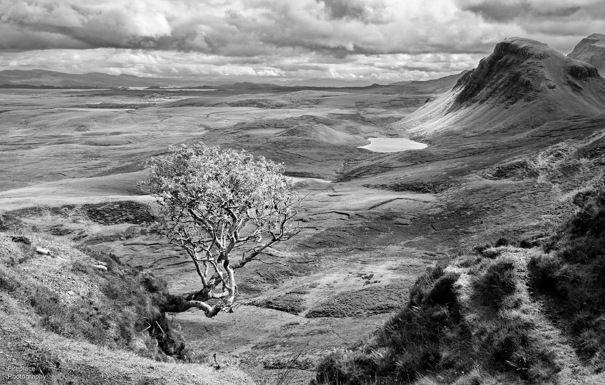 DSC_6463 - Copy d B&W smaller.JPG