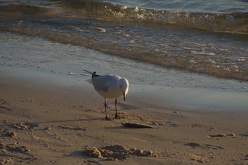IMG_1455.jpg