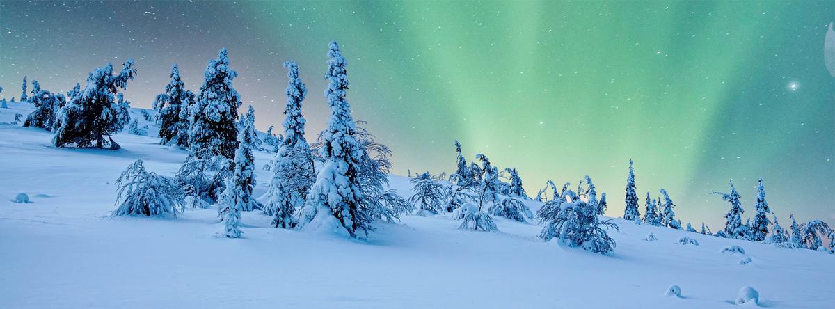 P2133826-1_0000 3_(Supersize).jpg