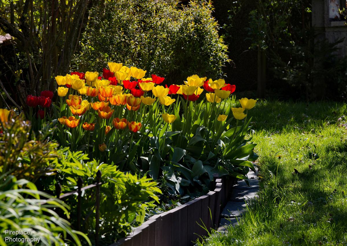 DSC_8758 smaller.JPG