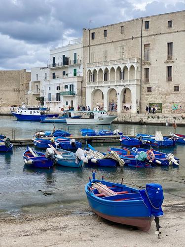 RoelH 202409 - Monopoli porto di pesce Puglia - IMG_4446.jpg