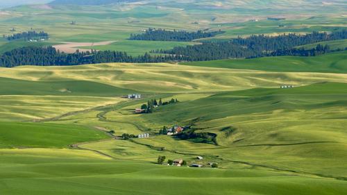 palouse edit edit-2.jpg