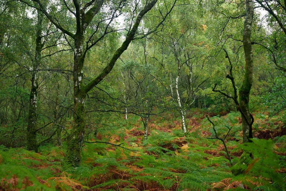DSC_8464.jpg
