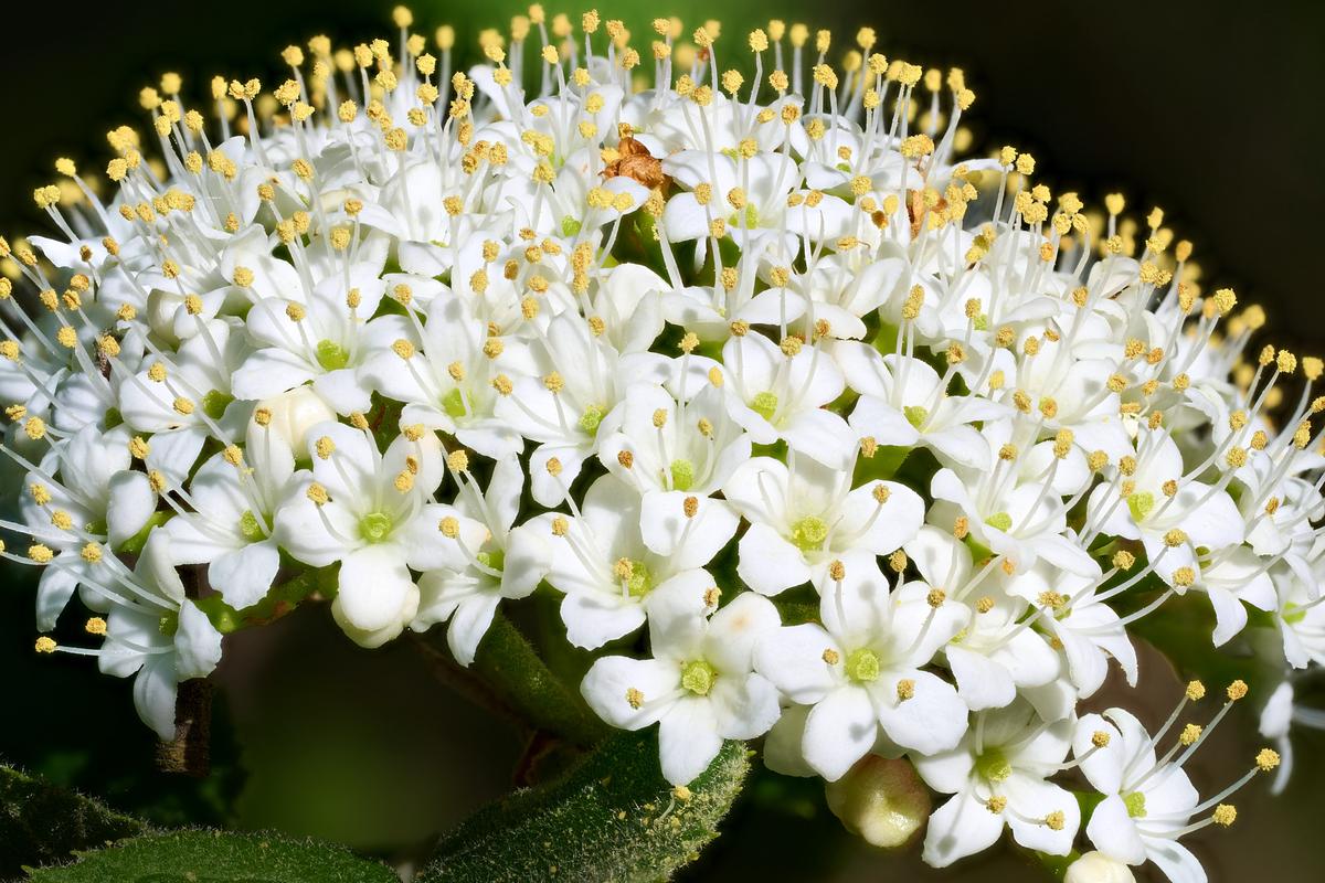 2026-04-18 19-43-12 (C,S4)_1.jpg